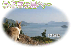 うさぎの島