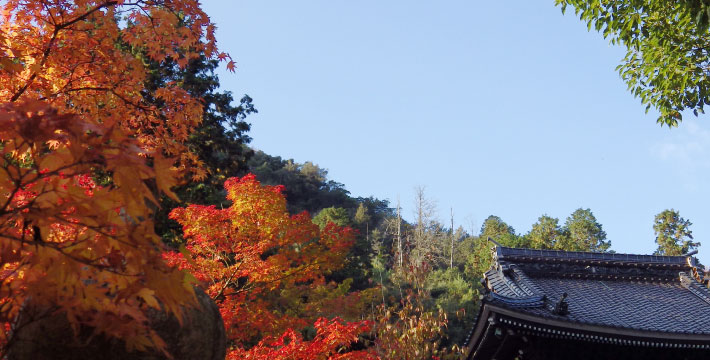 佛通寺